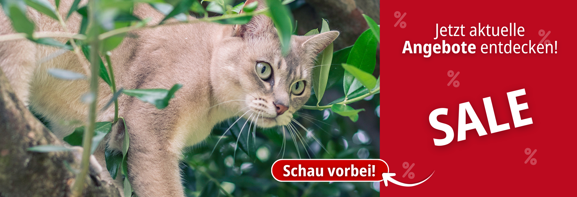 Aktuelle Angebote im Sale entdecken.